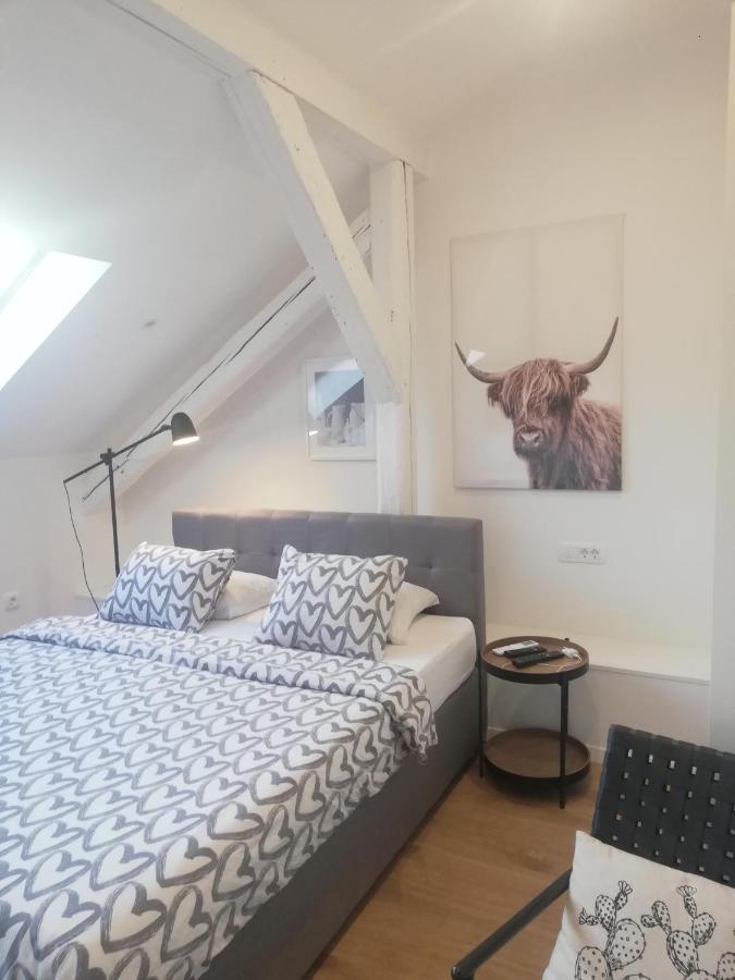 Apartments Simple Teslina Ζάγκρεμπ Εξωτερικό φωτογραφία